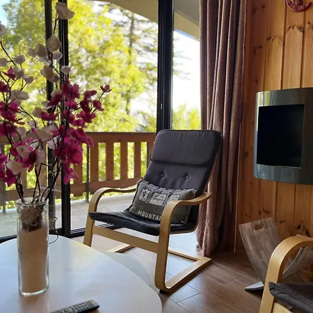 Appartement Grand T3 Avec Terrasse, Equipement Complet Et Acces Direct Galerie Commerciale A Pra-loup 1600 - Fr-1-165a-54 *