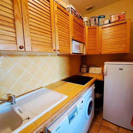 Appartement Grand T3 Avec Terrasse, Equipement Complet Et Acces Direct Galerie Commerciale A Pra-loup 1600 - Fr-1-165a-54 *