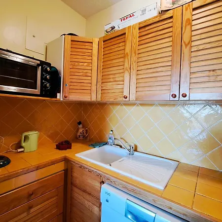 Appartement Grand T3 Avec Terrasse, Equipement Complet Et Acces Direct Galerie Commerciale A Pra-loup 1600 - Fr-1-165a-54 *
